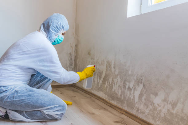 Licensed Mold Inspection service in Fairhope, PA - WQB Mold Removal