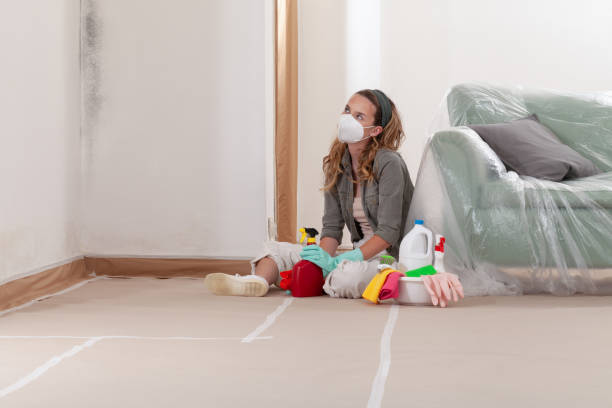 Reliable Mold Inspection contractor in Fairhope, PA by WQB Mold Removal